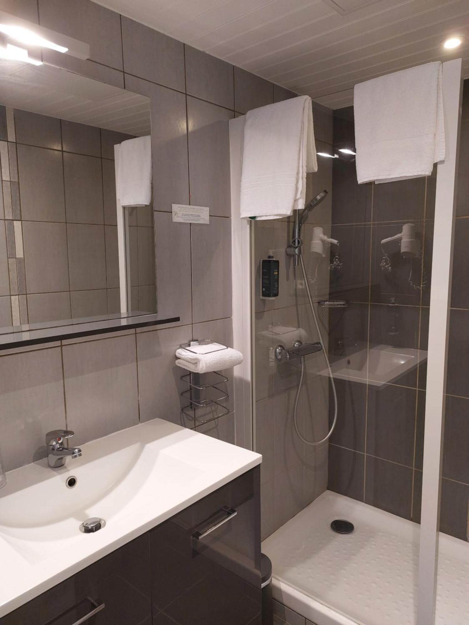 Brit Hotel Roanne - Le Grand Hotel Dış mekan fotoğraf